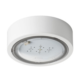 OPRAWA AWARYJNA LED 3H DWUZADANIOWA AUTOTEST IP65 BIAŁA ITECH TM-IT.M2ATM360W